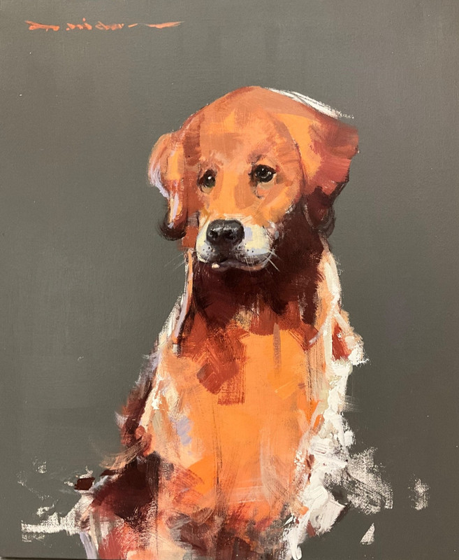 Oil Painting 20x24 Golden Retriever dog portrait,realistic expressionism painted
