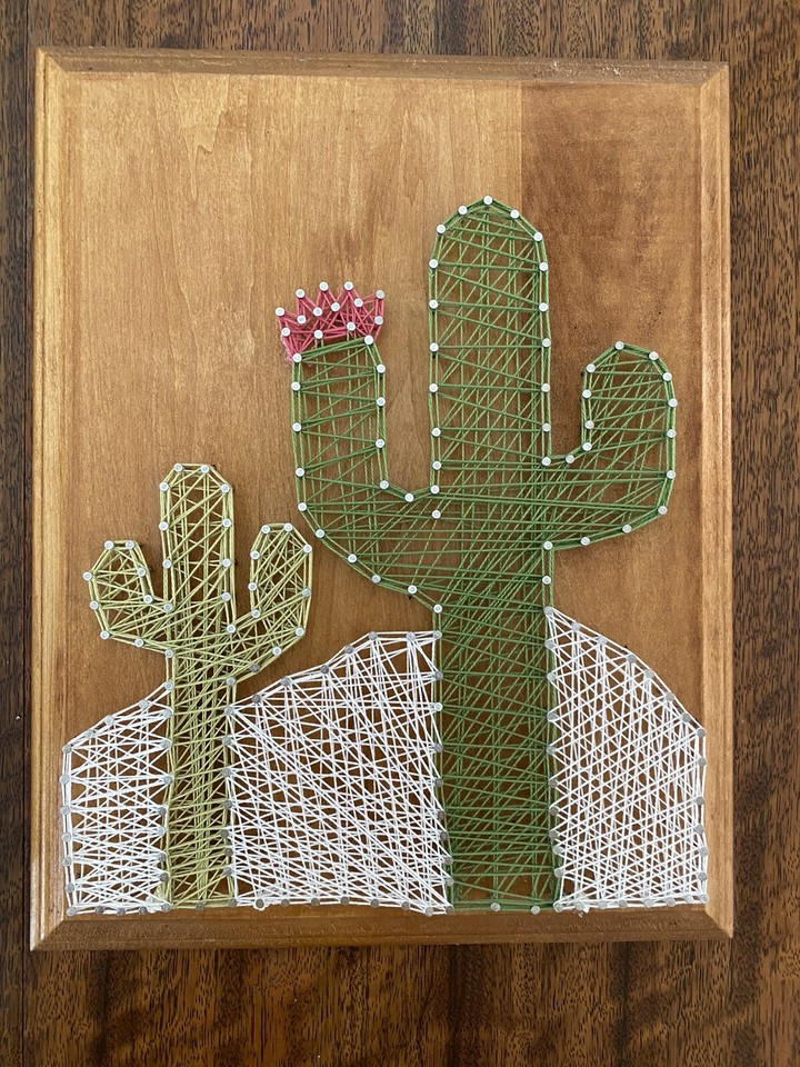 Desert Cactus String Art (2) Wood Plaques Retro Boho Pink Green