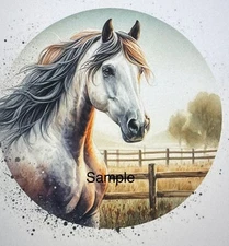 BEAUTIFUL WHITE HORSE FACE ENVELOPE LABELS STICKERS SEALS 1.5" ROUND