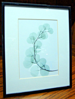 Wall/ Tabletop Artwork Decor~Black Metal Frame 8''x10'' Matted for 5''x7'' Pic   E21