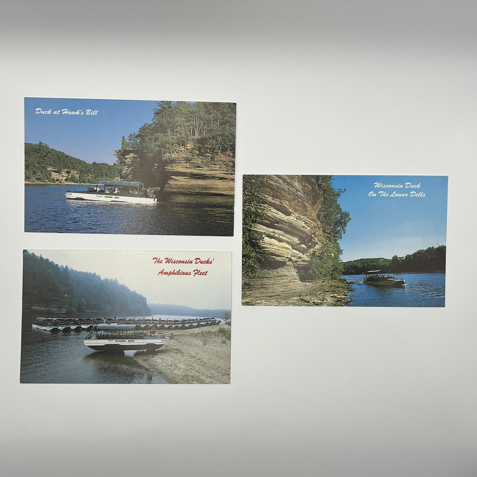 Vintage Postcards Lot of 3 Wisconsin Dells Duck boat Hawk's Bill Unposted