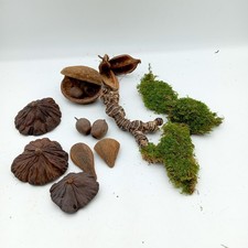 Natural Jungle Pods For Any Reptile Invertebrate Terrarium Vivariums