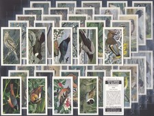 BROOKE BOND (TEA)-FULL SET- (BLACK BACK REPRINT) WILD BIRDS IN BRITAIN(50 CARDS)