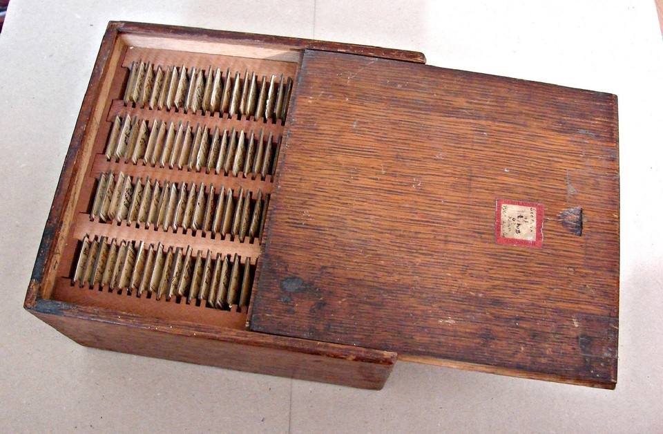 A complete antique histology slide set in a fitted wood case — basically a 19th-century scientist's ready-made cabinet of curiosities.