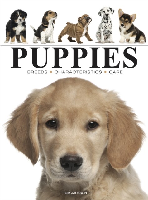 Puppies by Tom Jackson (Paperback Book) - Image 4