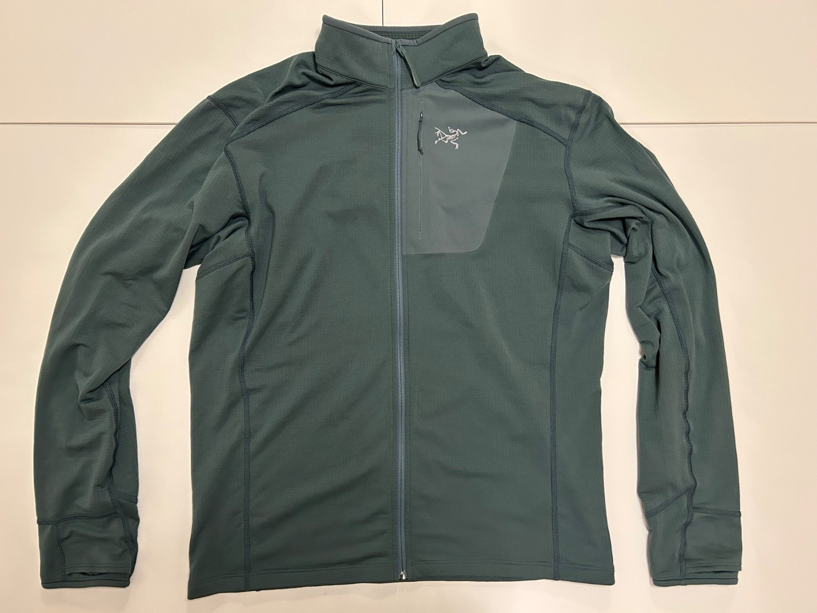 Arc’teryx Mens Delta Fleece Large