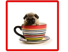   Funny Pug In Striped Cup Dog Refrigerator / Tool Box  Magnet