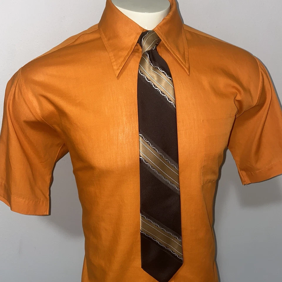 复古 60 年代 70 年代男式领带涤纶领带中世纪条纹迪斯科 Mod 大使 — 第 4/4 张图片