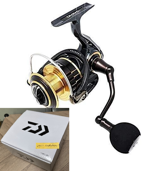 Daiwa 17 THEORY 4000 Spinning Fishing Reel | eBay