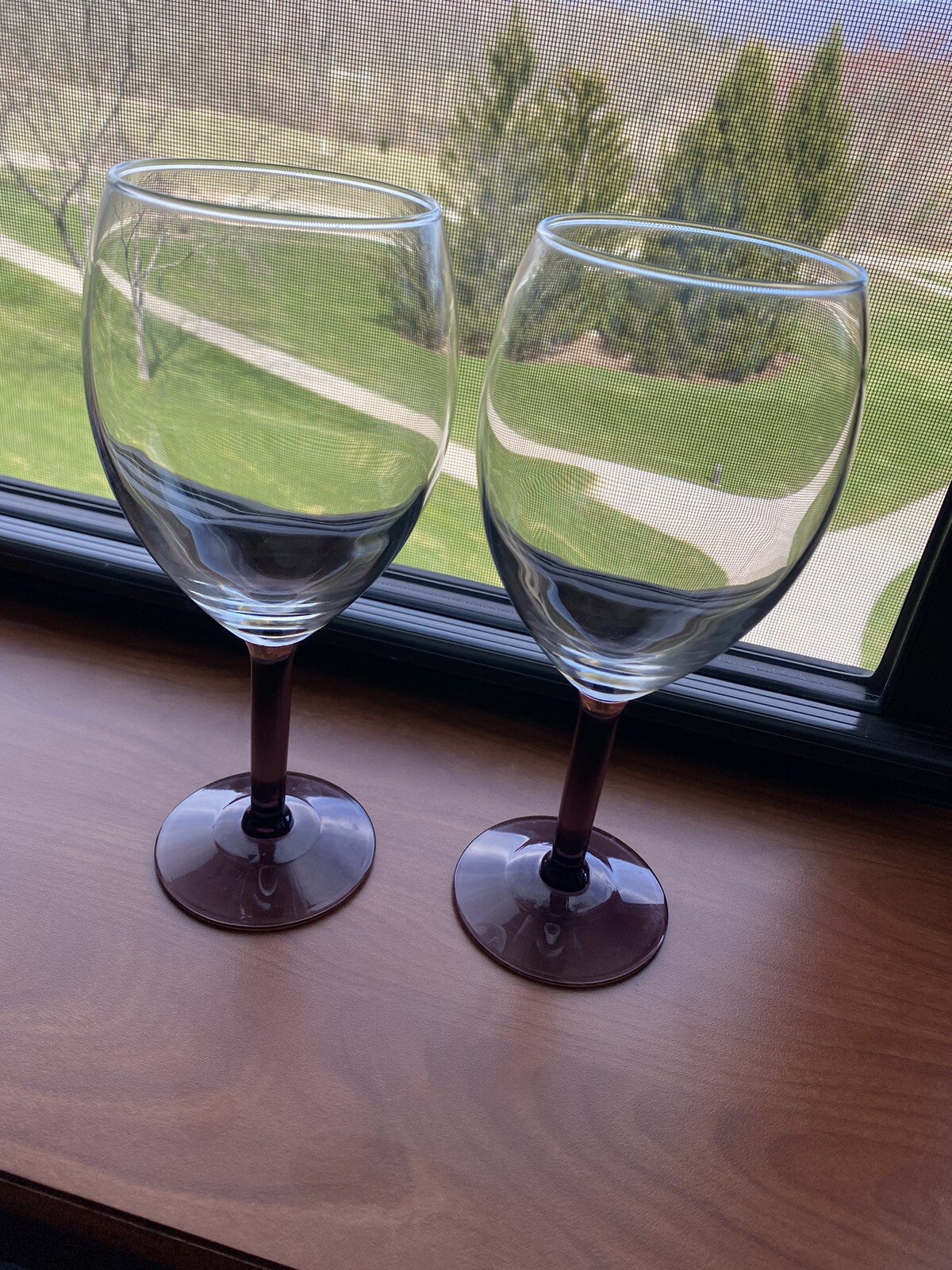 Extra Large Wine Glasses, oversized wine glasses set of 2. eBay