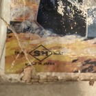 Bild 11 von 12