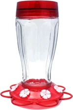More Birds Bird Health+ Big Gulp Hummingbird Feeder, Glass Hummingbird Feeders f