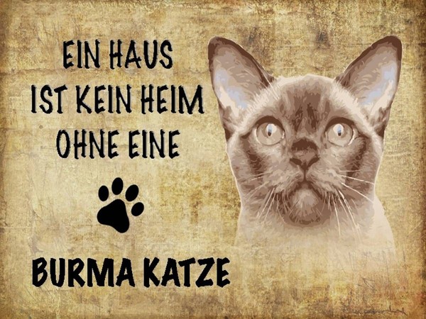 Holzschild 30X40 Cm Burma Katze Ohne Kein Heim Deko Geschenk Holz Schild-image