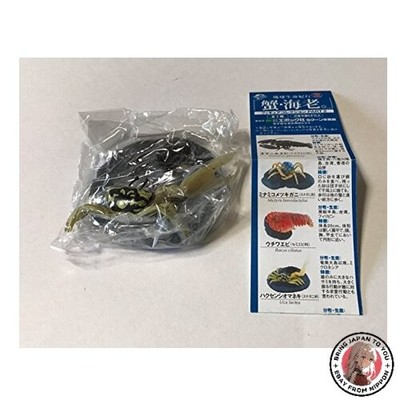 NEU Earth Life Journey Krabben und Garnelen 2 Krabben und Garnelen Kapsel Kol...