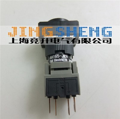 1PC New   hole 16   two gear key selector switch AH165-J2A11A   #jg