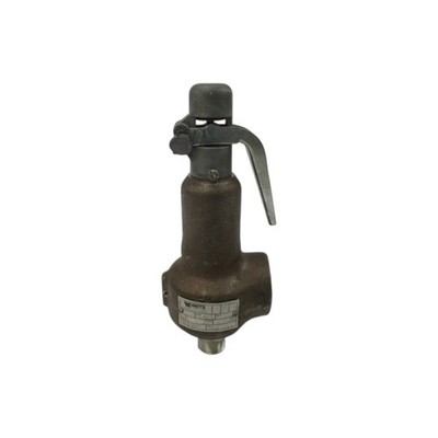 WATTS INDUSTRIES 866EEDAA 275PSI 3/4'' UNMP