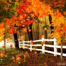 10'x10' CP Leaves Fall Season Scenic Microfiber Fabric background backdrop SD136