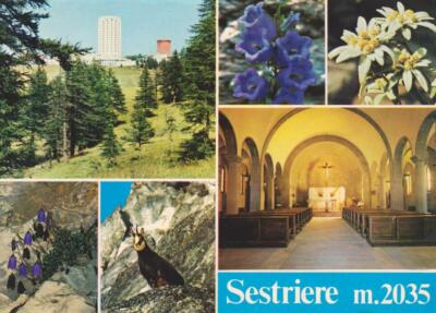 Carte Postale Vintage Tina Turner - Occasion, Collection Souvenirs Musique | CPM