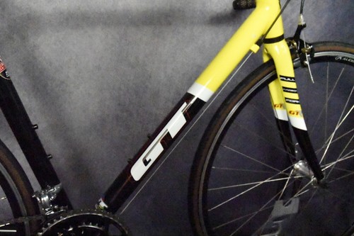 GT SERIES 3 du monde race ROAD BIKE SIZE LARGE, 54 CM, 18 SPEED CARBON FORK - Picture 6 of 14