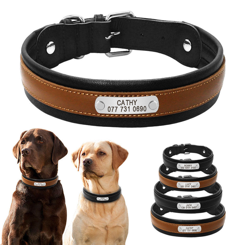 Leather Personalized Dog Collar Soft Padded for Medium Large Dogs