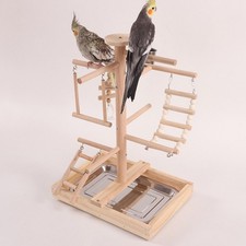 Haustier Papagei Playstand Klettern Käfig Zubehör Barsch Spielen