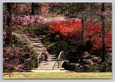 Azalea Garden In Woodward Park Tulsa Oklahoma Posted 1996 Bridge Rose Garden