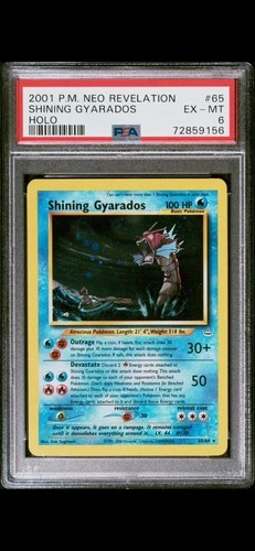 Pokemon 2001 Shining Gyarados Neo Revelation DOUBLE HOLO ERROR PSA 6 Mislabel