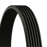 Contitech 6PK1285 Keilrippenriemen FüR Fiat Hyundai Rover Mg Kia Vw Land Golf