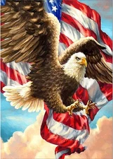 FORLAND Patriotic Diamond Painting Kits for Painting, Eagle 