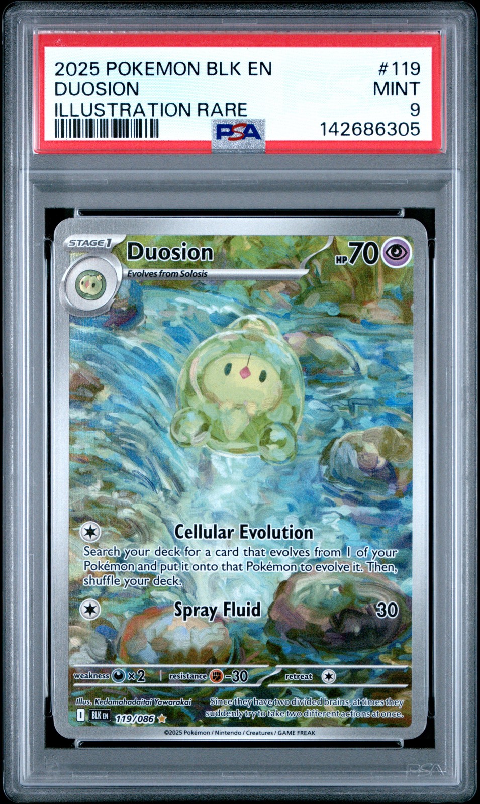 Duosion #119