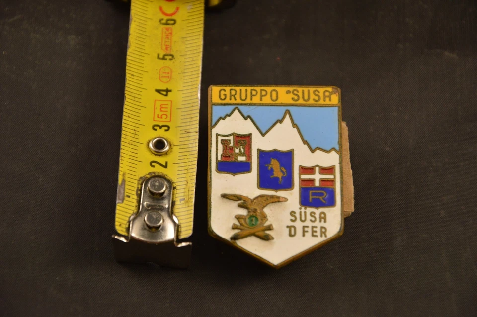 PIN SPILLA MILITARE SMALTATA VINTAGE GRUPPO SUSA DISTINTIVO BRIGATA ALPINA - Immagine 2 di 3