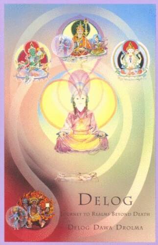 Delog: Journey to Realms Beyond Death - Paperback By Drolma, Delog D ...