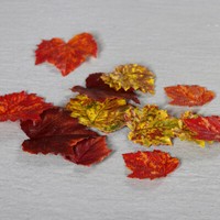 KüNstliches Herbstlaub 27 StüCk AhornbläTter Ahorn 3 Farben 3 BlattgrößEn Deko