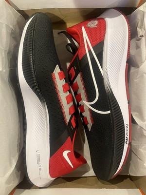 Size 10.5 - Nike Air Zoom Pegasus 38 