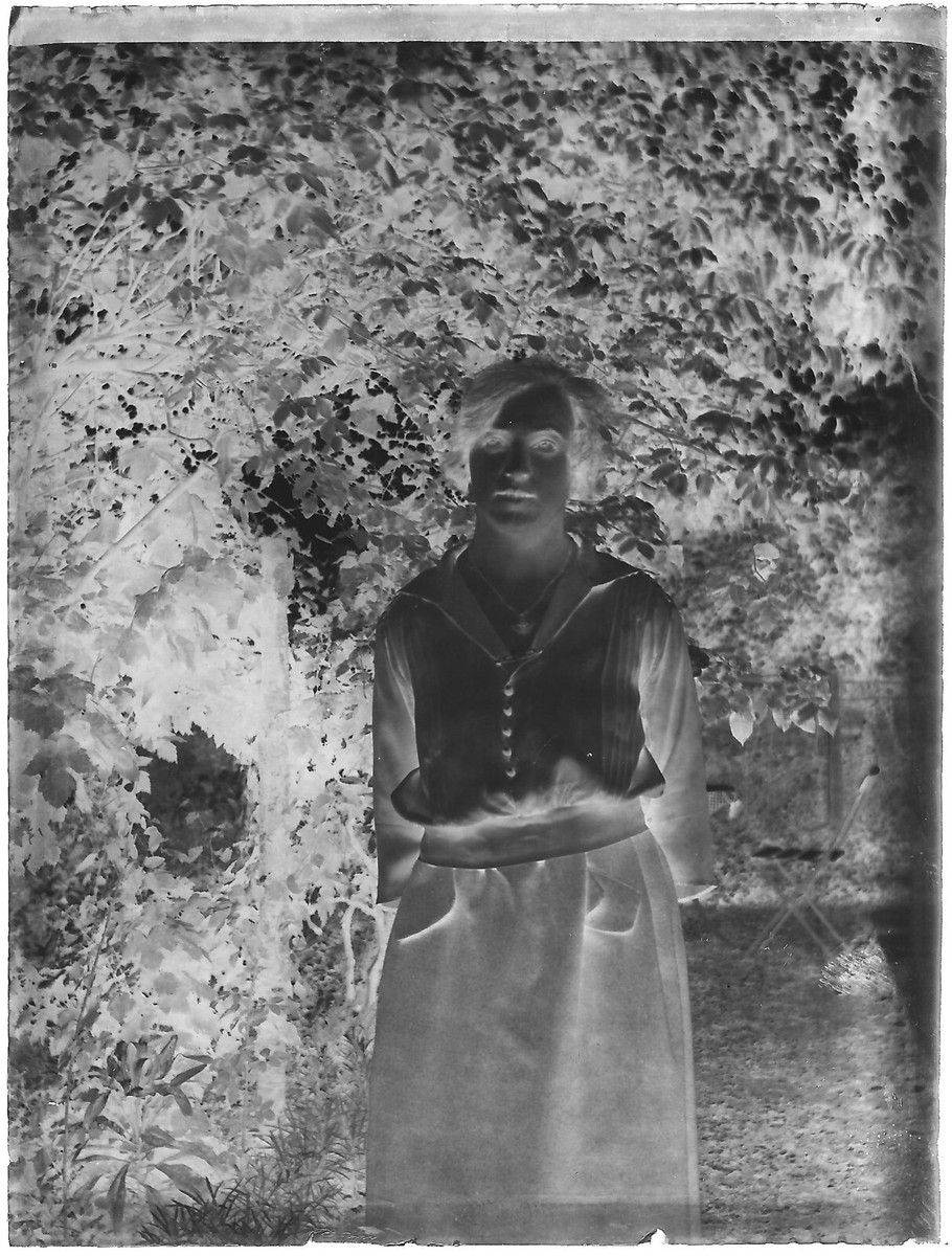 Plaque verre photo ancienne positif noir et blanc 6x9 cm Vercors nature paysage 0609664 - Collection