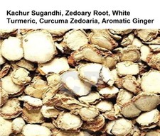 Kachur Sugandhi Zedoary Root White Turmeric Curcuma Zedoaria 100gm 3.5 OZ :