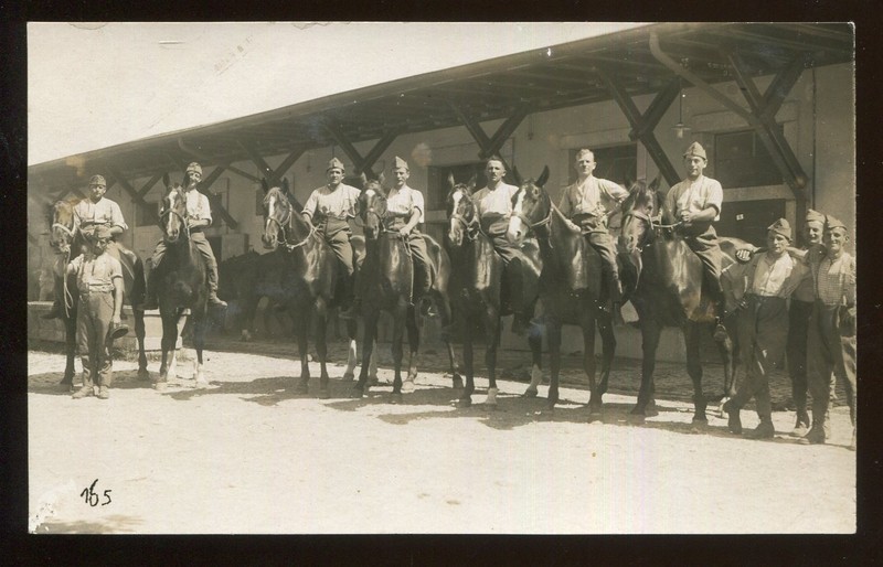 Switzerland Military Real Photo Card Men on Horseback R Freudiger, Bülach