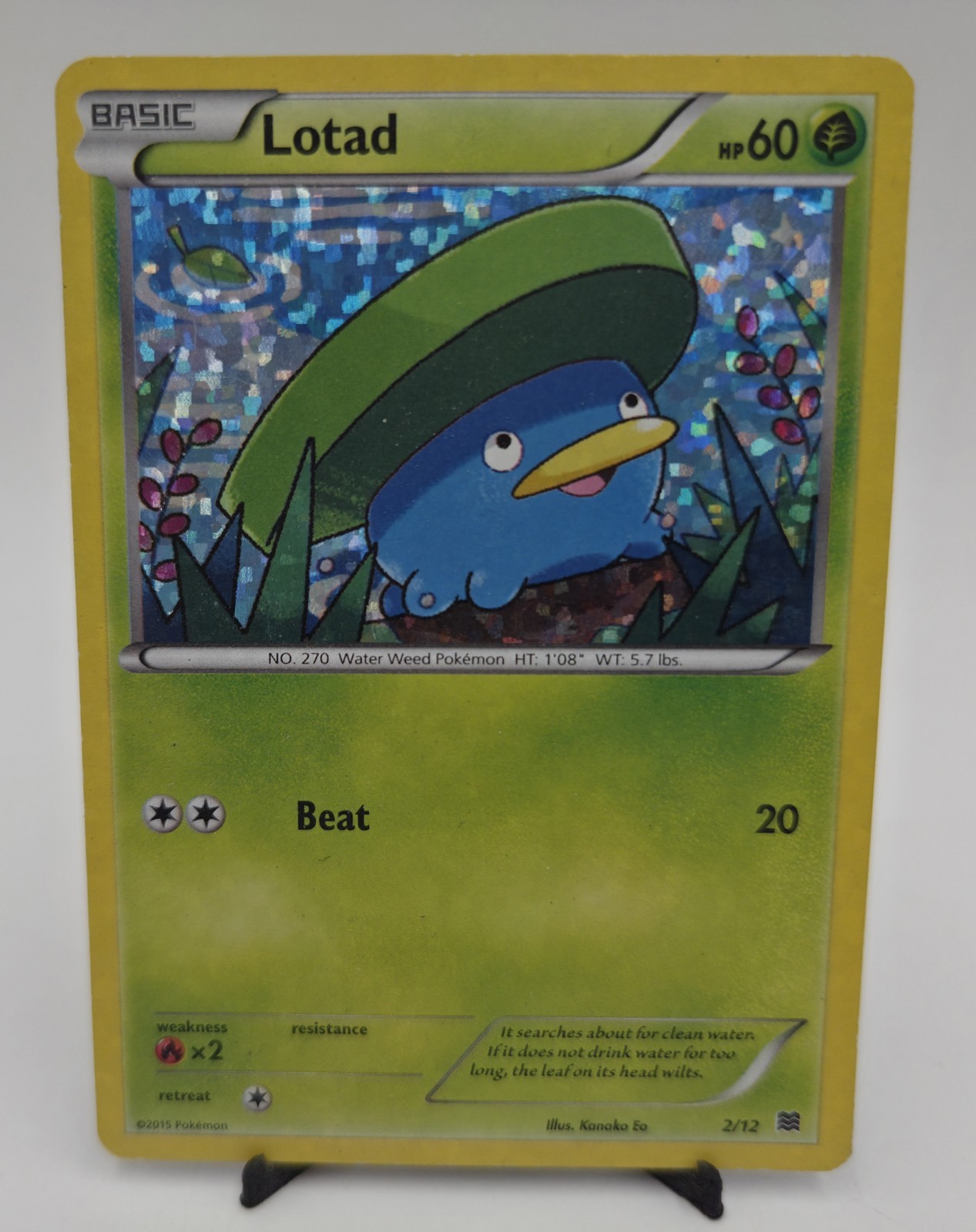 Pokemon TCG Lotad Holo 2/12 2015 McDonald's Promo Card LP