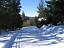 snowqueen98