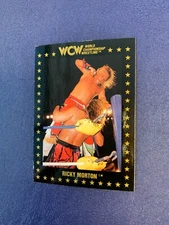 1991 Championship Marketing WCW #30 Ricky Morton RC - WWF NWA Rookie Card
