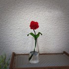Bild 7 von 12