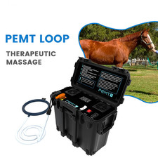 Equine Physio Magneto PEMF Machine Orthopedic Horse Physio Therapy Equipment