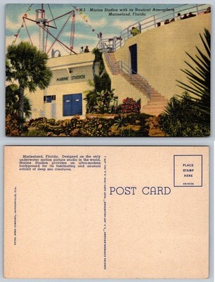 Marineland Florida Marine Studios Nautical Atmosphere Linen Postcard 1940s