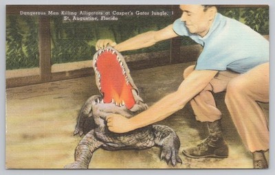 Caspe's Gator Jungle St. Augustine Florida FL Alligator Wrestling Linen Postcard