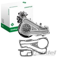 INA Wasserpumpe MIT Riemenscheibe Passend FüR Renault 11 19 9 Rapid Super | 538