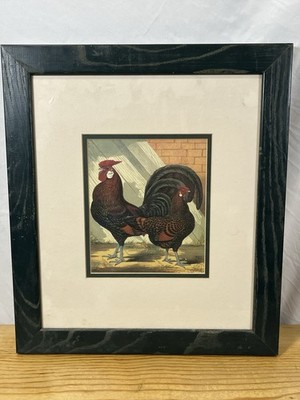 Framed Print By J.W. Ludlow. chromolithograph from ''Cassell's Poultry Book .