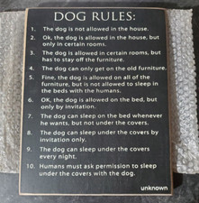 NEW  Original "10 Dog Rules" Wood Wall Plaque Sign  Dog Lover Pet Humor