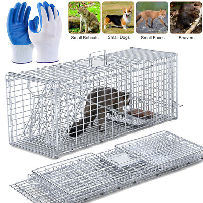 Live Animal Cage Trap 37x15x14'' Humane Rodent Raccoon Coyotes Cage Iron Door