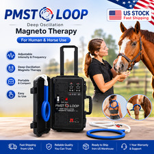 PEMF Magnetic Loop System Portable Electromagnetic Pulse Equipment Human Horse