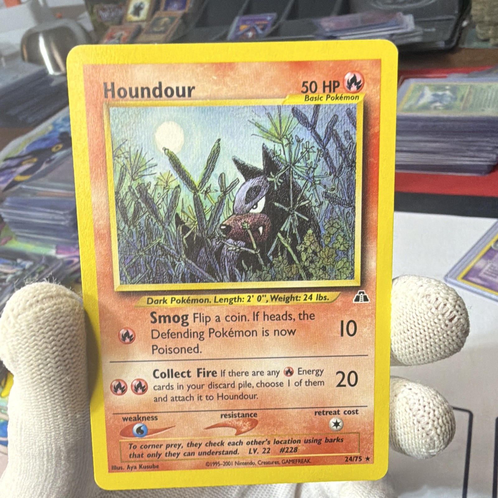 Pokemon TCG Houndour 24/75 Neo Discovery Regular Rare English 50 HP